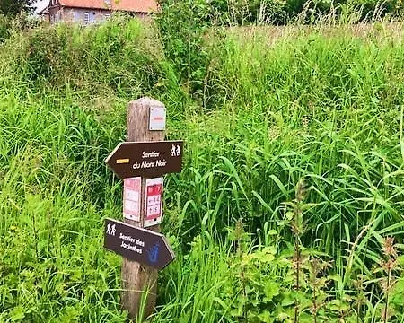 Au Coin Du Loup, Monts De Flandres, Zwarteberg Casa vacanze