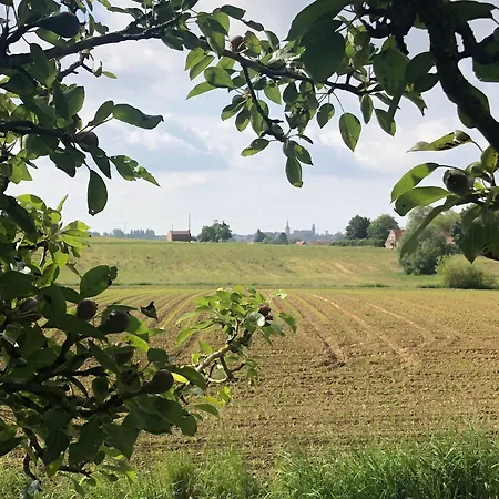 Au Coin Du Loup, Monts De Flandres, Zwarteberg Saint-Jans-Cappel