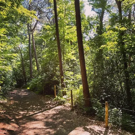 Au Coin Du Loup, Monts De Flandres, Zwarteberg Nyaraló
